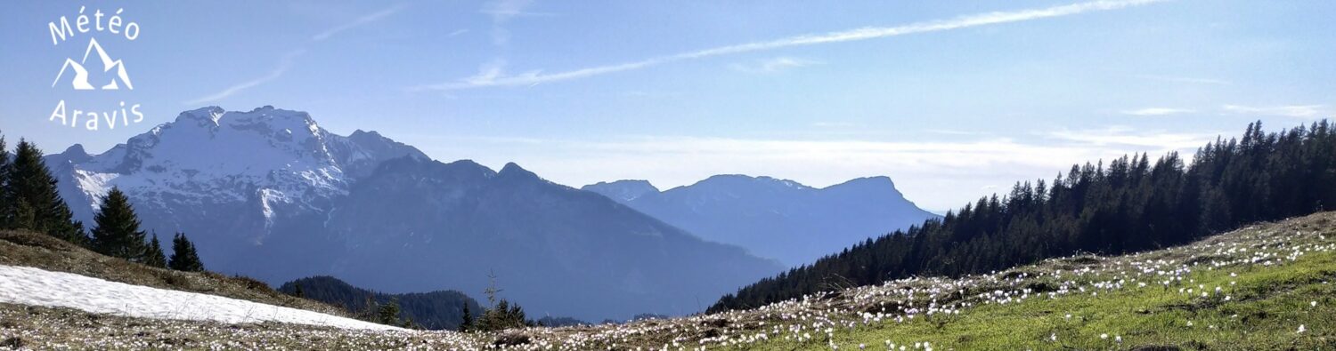 MétéoAravis